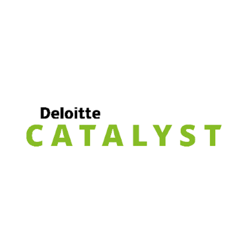 DELOITTE CATALYST DELOITTE CATALYST